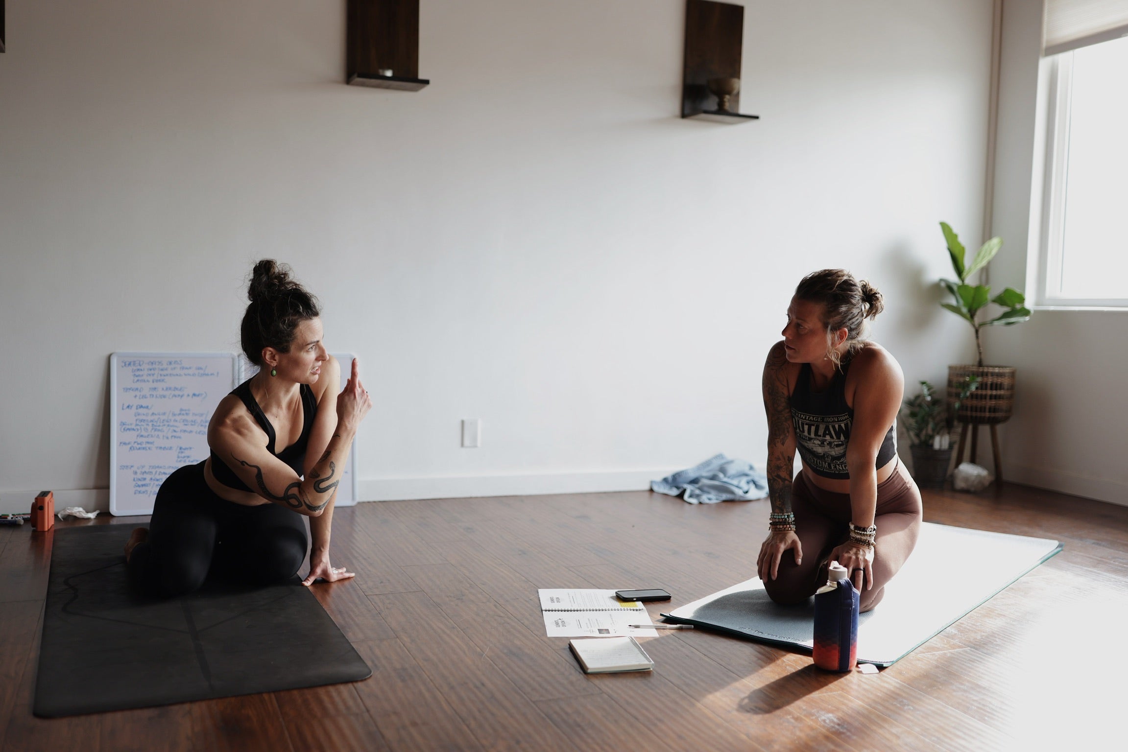 mentorship: holding the expansion