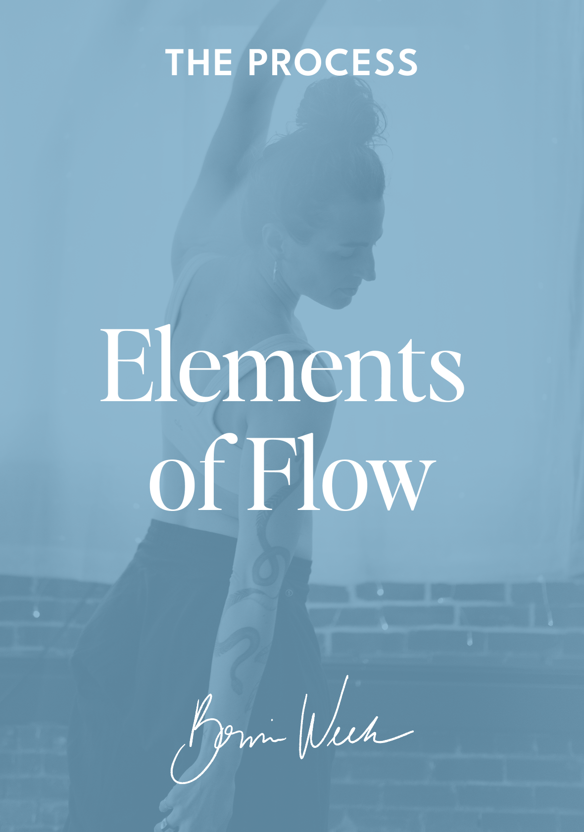 Elements_of_Flow_d27de4fe-0ea0-4c94-9f1f-0b07955593c4.png