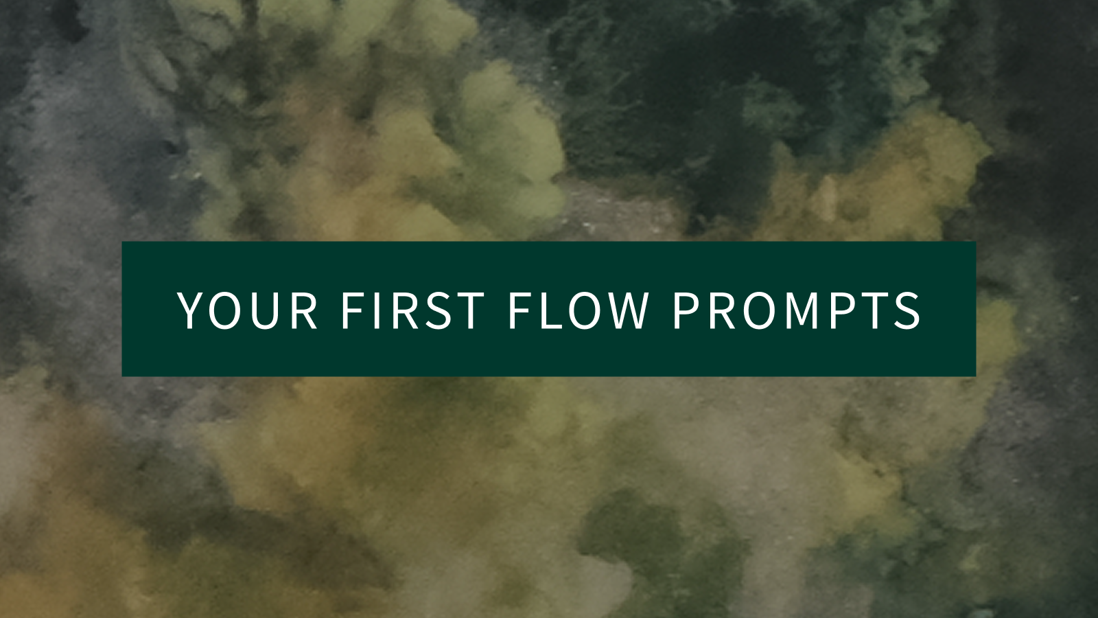 Your First Flow Prompt
