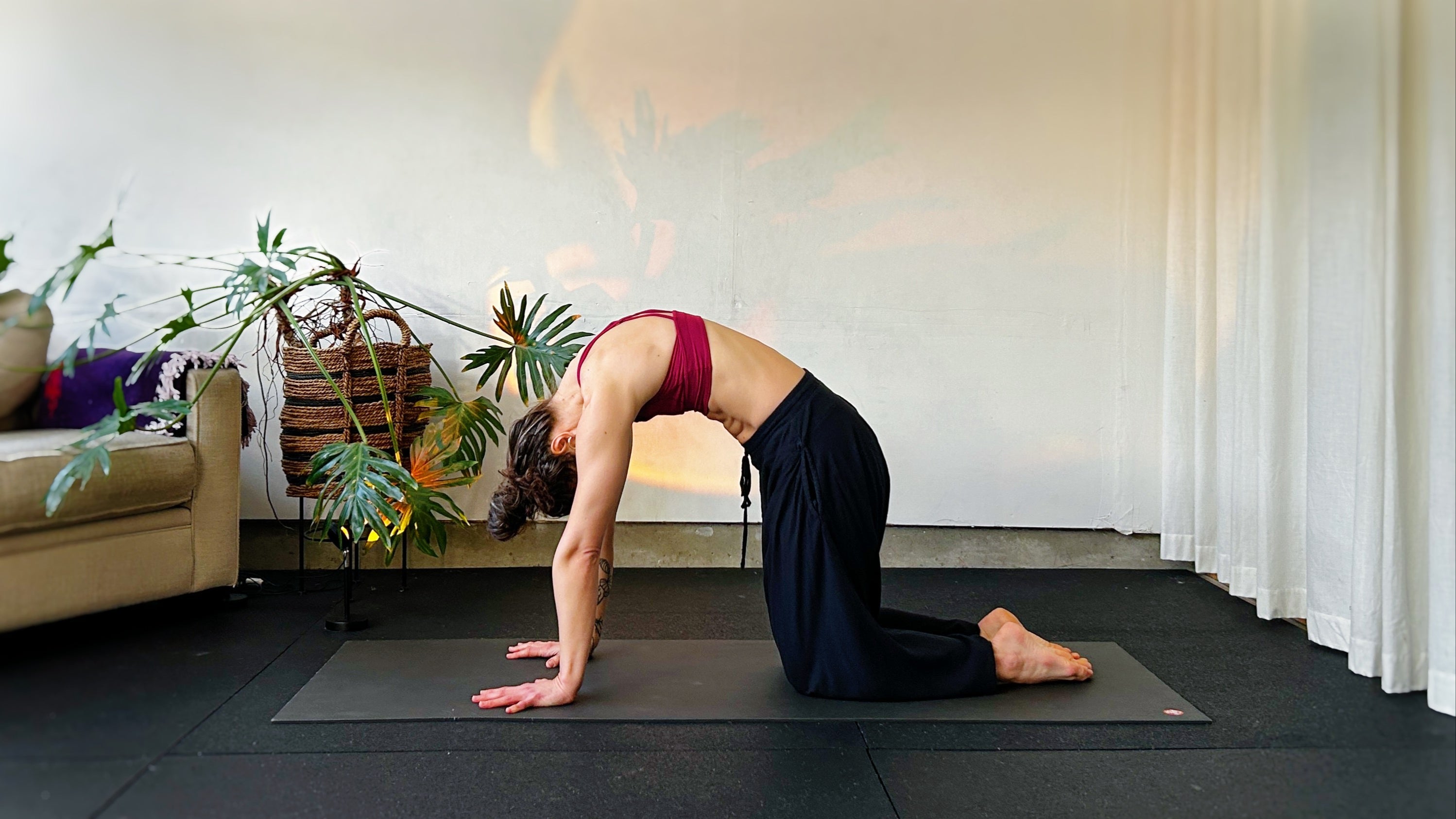 Extend Your Spine, Flex Your Flow